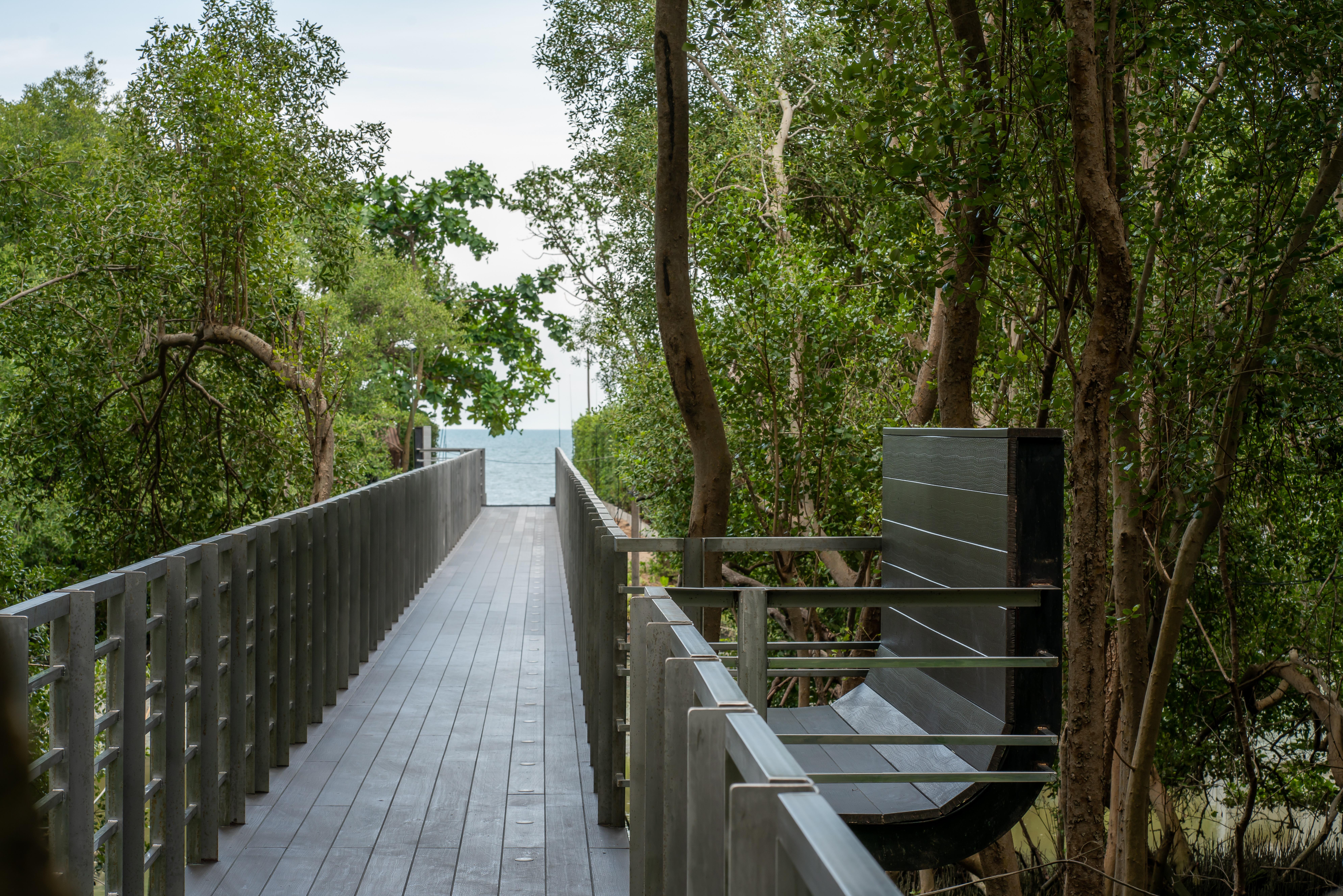 Bayphere Hotel Pattaya Jc 纳仲天 外观 照片 The Treetop Walkway